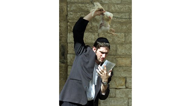 Млад евреин чете специална молитва с жертвена кокошка.