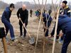 Над 3000 дръвчета засадиха в пловдивския район "Тракия"