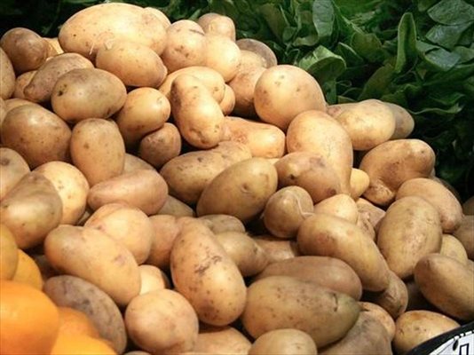 На пазара египетските картофи са почти наполовина по-евтини от българските. В замяна нашите са измити и почистени. Могат да се готвят веднага - само след едно изплакване.
СНИМКИ: АНТОАНЕТА ПЕЛТЕКОВА И АРХИВ
