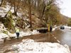 Над 50 камиона извозиха начупените от снега дървета и клони във Велико Търново