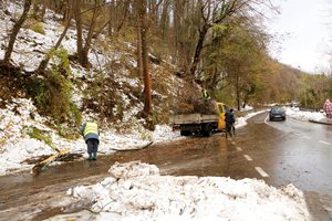Над 50 камиона извозиха начупените от снега дървета и клони във Велико Търново