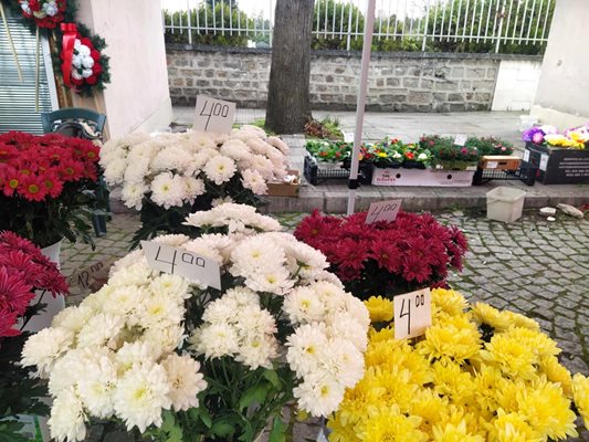 Цените на цветята за Задушница са почти 8–мартенски.
