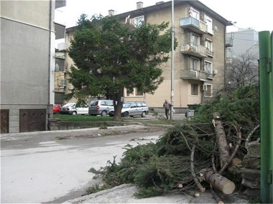 20-годишна загина заради силния вятър в Габрово