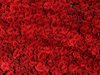 Турция изнася 60 милиона рози за Свети Валентин