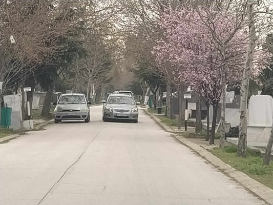 За Задушница алеите на централни гробища са почистени.