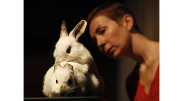 ЛЮБОПИТСТВО: Жена наблюдава двойка зайци на провокативната изложба 