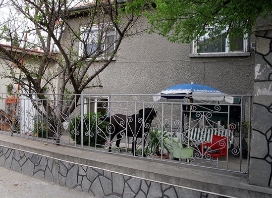 Само една ограда дели къщата на Иванка Ройдова от тази на брат й.