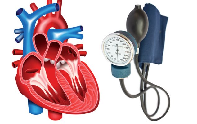 Сърцето на хората с високо кръвно работи на по-бързи „обороти”, което води до преждевременна „умора” на сърдечния мускул
