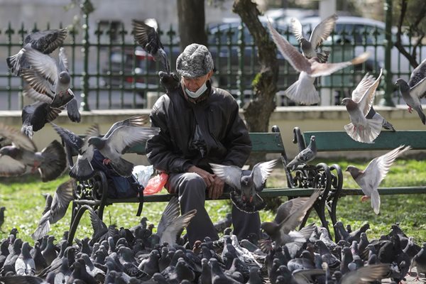 Мъж храни гълъби сам в парк в Букурещ. 

