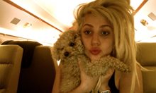 Похитителят на кучетата на Лейди Гага е осъден на 21 години затвор