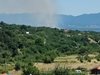 Пожар обхвана широколистна гора край Каварна