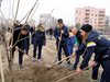 Разшириха парк "Лаута" в Пловдив с 60 декара