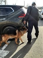 Обучено куче на "Гранична полиция" провери сградата и прилежащия й терен на бензиностанцията в края на града. Снимки Авторката