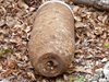 Деца откриха жива американска ракета в гора край Берлин
