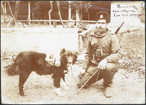 Граничарското куче Марко с водача си от 2-ра погранична рота през 1898 г.