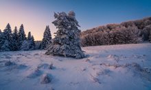 Януари ще започне с топло и предимно слънчево време, от края на първата седмица ще има валежи