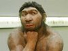 Проучване: Формата на носа на съвременния човек е наследена от неандерталците