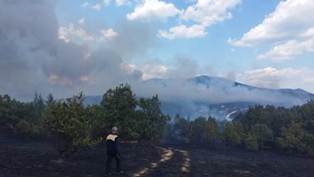 Пожарът в Карловско се разраства към село Пролом, под риск са и Мраченик и Песнопой