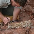 Огромен динозавър „Дракон на смъртта“ е открит в Аржентина