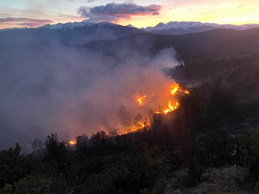 Горски служители гасят голям пожар край Елешница. СНИМКИ: ЮЗДП