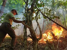 Над 50 горски служители гасят пожари в Югозапада. СНИМКА: ЮЗДП