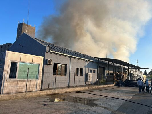 Пожарът е лумнал в производственото хале на фирма за търговия с ядки в Северната промишлена зона на Карнобат.