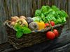 Консумацията на малко повече плодове, зеленчуци и риба удължава живота