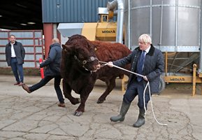 Британският премиер Борис Джонсън посети ферма в Шотландия по време на предизборната си кампания.
СНИМКА: РОЙТЕРС
