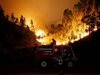 Пожарът, бушуващ на остров Закинтос, е унищожил над 1000 акра гора

