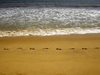 Плажовете в Бяла с високо микробиологично замърсяване