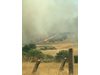 Домашни животни, техника и 50 бали фураж са изгорели при пожар във Видинско