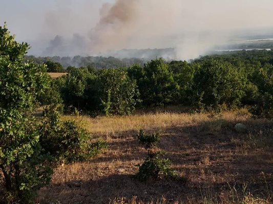 Пожарът край Калояново е ликвидиран окончателно.