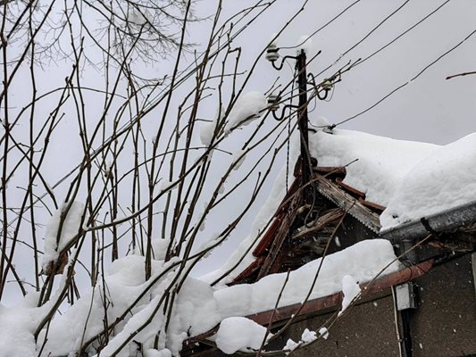 Вонеща вода