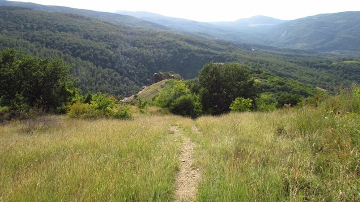 Районът на село Храбрино.