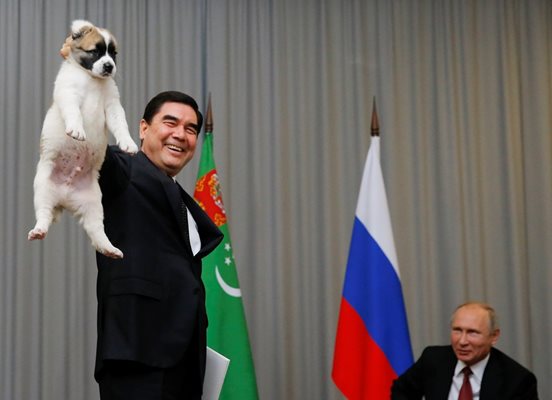 Президентът на Туркменистан Гурбангули Бердимухамедов подари на руския си колега Владимир Путин кученце средноазиатска овчарка за 65-ия му рожден ден СНИМКА: РОЙТЕРС