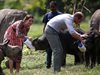 Принц Уилям и Кейт Мидълтън хранят бебета слон и носорог в Индия (снимки)