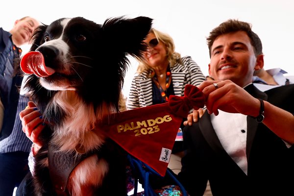Кинофестивалът в Кан отличи кучето от филма на Жустин Трие
Снимка: Ройтерс