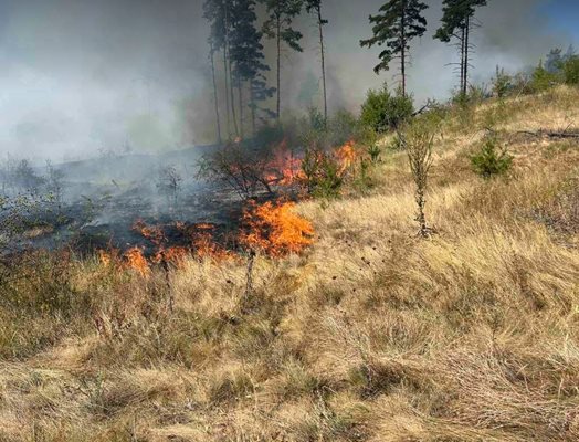 Голям пожар избухна край Самоков, заплашва село Алино
Снимка: Авторът