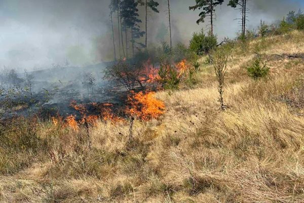 Голям пожар избухна край Самоков, заплашва село Алино
Снимка: Авторът