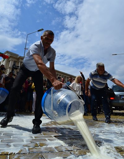 The last protests by milk producers against the low purchase prices of milk were in 2018. Since then, its price has been acceptable for producers, but too high for milk processors, and this tempts them to think in ways save some of these costs.  PHOTO: YORDAN SIMEONOV