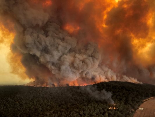 Горящите в продължение на месеци горски пожари в Австралия поставят планетата в риск, твърдят еколози.