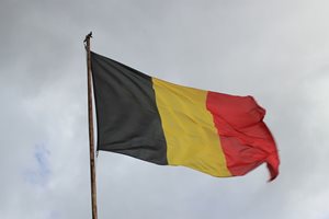 17 избирателни секции има общо в Белгия и Люксембург