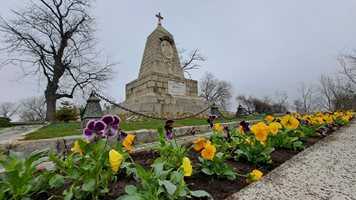 2000 цветя засадиха на Бунарджика в Пловдив, разчистиха пътеките към паметника на Цар Освободител