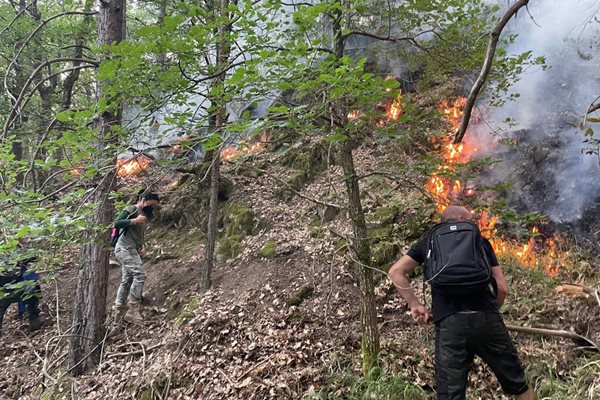 Стотици доброволци се борят с огъня край Сенокос. СНИМКИ: Община Симитли