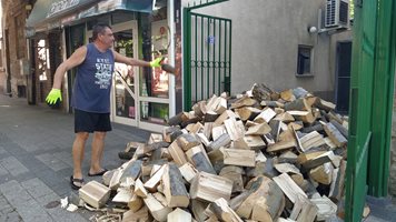 Пловдивчанин на 34° прибира дърва и пита: Те ли са най-големият проблем за въздуха? (Снимки)