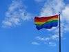 Референдум по въпроса за гей браковете в Румъния тази есен