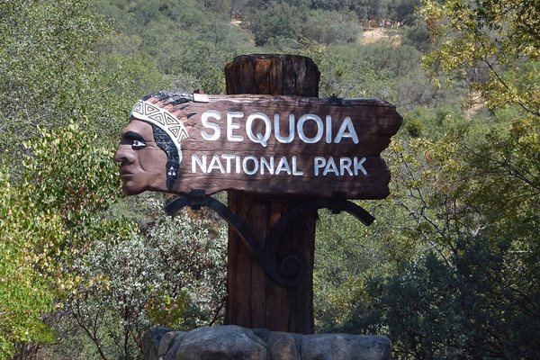 Sequoia National Park в Сиера Невада Снимка; Pixabay