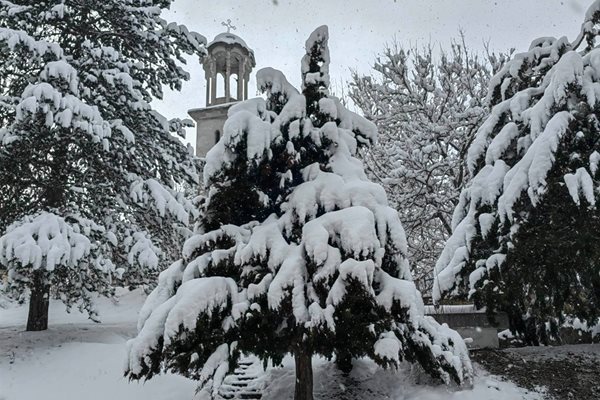 Вонеща вода