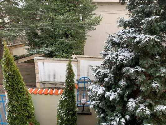Зимата се завърна, сняг покри София след 15 градуса предишния ден (Видео, снимки)