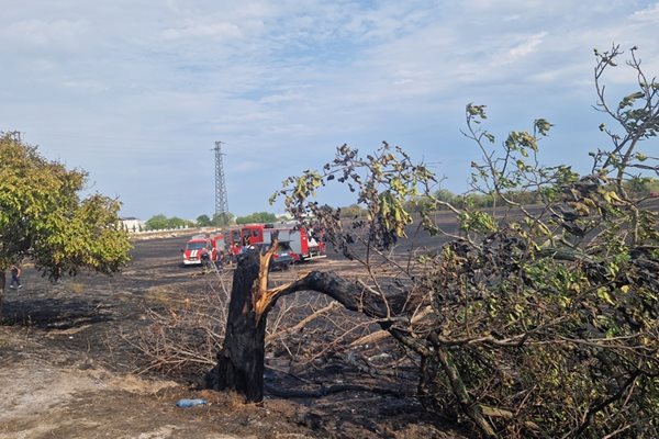 Пожарът в Скутаре пламна в неделния следобед. Снимки: БНТ